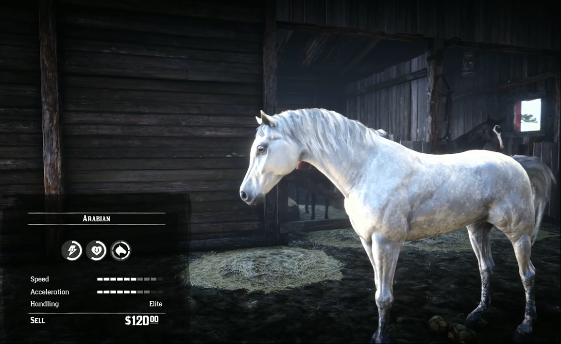 White Arabian