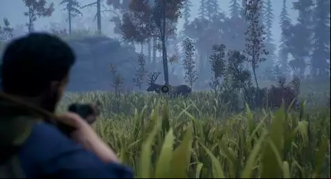 Open Country
