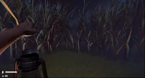 The Grass
