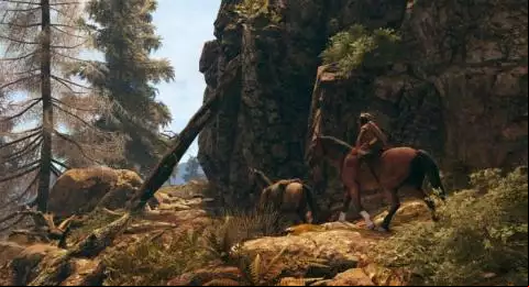 This Land is My Land
